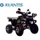 2.10. Квадроциклы AVANTIS купить с доставкой по Москве и России, цены, технические характеристики, стоимость, комплектация