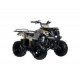 2.19. Квадроциклы 125 cc купить с доставкой по Москве и России, цены, технические характеристики, стоимость, комплектация