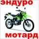 1.1.5.03. Эндуро и Мотард купить с доставкой по Москве и России, цены, технические характеристики, стоимость, комплектация