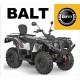 2.13. Квадроциклы BALTMOTORS купить с доставкой по Москве и России, цены, технические характеристики, стоимость, комплектация