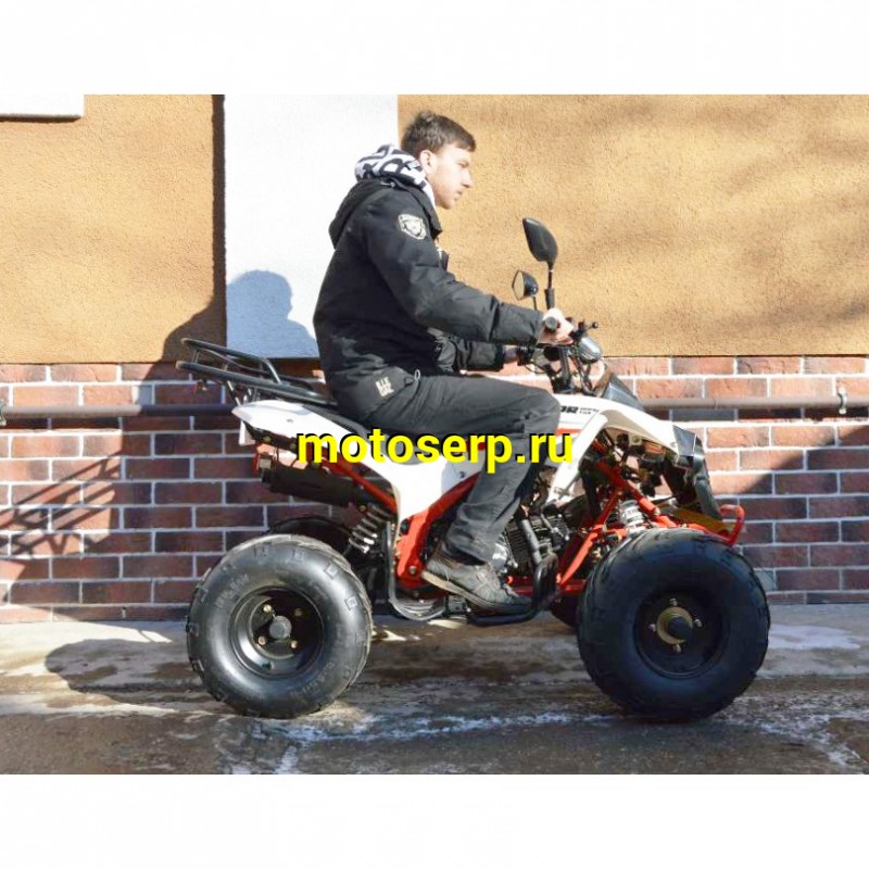 Купить  ====125cc Квадроцикл MOTAX Raptor SUPER LUX 125cc, спорт.детск 9-12 лет, полуавтомат 3+1(реверс), 4Т, эл/ст, колеса 8" разношир, диск/диск ножной (шт) купить с доставкой по Москве и России, цена, технические характеристики, комплектация фото  - motoserp.ru