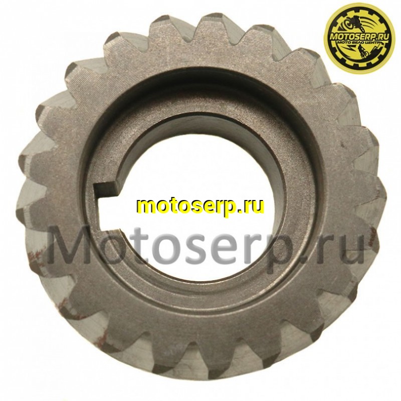 Купить  Шестерня ведущая коленвала 1E66MM GR7 двиг. MT-250 2T OEM (шт) (SM 020337-020-3022 купить с доставкой по Москве и России, цена, технические характеристики, комплектация фото  - motoserp.ru