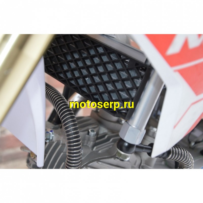 Купить  ====Питбайк KAYO EVOLUTION YX150 (спортинв), 17/14, 4Т, мех КПП, масл. охл., диск/диск. (шт) (SM купить с доставкой по Москве и России, цена, технические характеристики, комплектация фото  - motoserp.ru