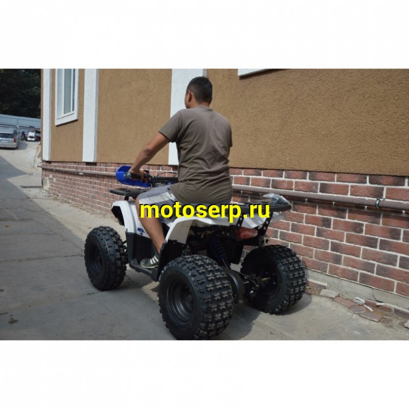 Купить  ====125cc Квадроцикл Avantis Classic 8 NEW  (Классик 8) (2023г) 125/50сс, утилит. детск 6-10 лет, 2х4, колеса 8", автомат,реверс, бараб./диск. (шт)  купить с доставкой по Москве и России, цена, технические характеристики, комплектация фото  - motoserp.ru