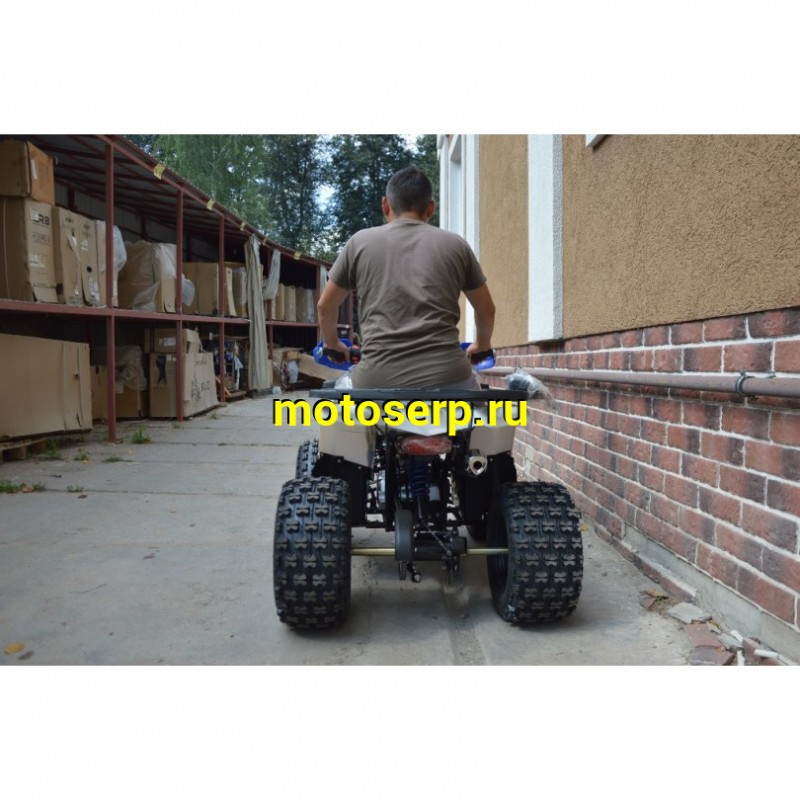 Купить  ====125cc Квадроцикл Avantis Classic 8 NEW  (Классик 8) (2023г) 125/50сс, утилит. детск 6-10 лет, 2х4, колеса 8", автомат,реверс, бараб./диск. (шт)  купить с доставкой по Москве и России, цена, технические характеристики, комплектация фото  - motoserp.ru