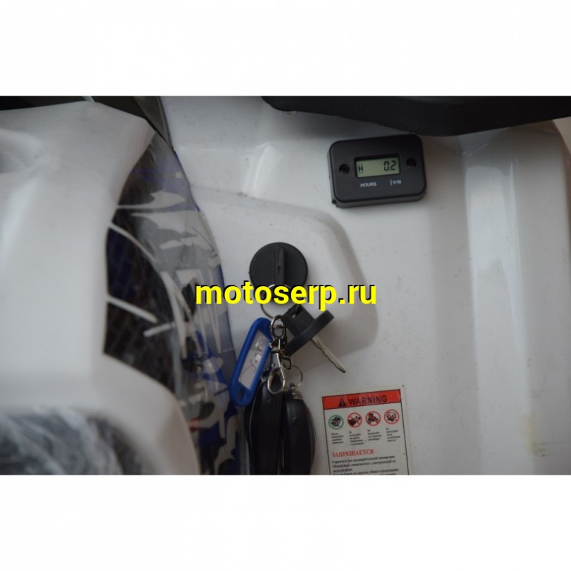 Купить  ====125cc Квадроцикл Avantis Classic 8 NEW  (Классик 8) (2023г) 125/50сс, утилит. детск 6-10 лет, 2х4, колеса 8", автомат,реверс, бараб./диск. (шт)  купить с доставкой по Москве и России, цена, технические характеристики, комплектация фото  - motoserp.ru