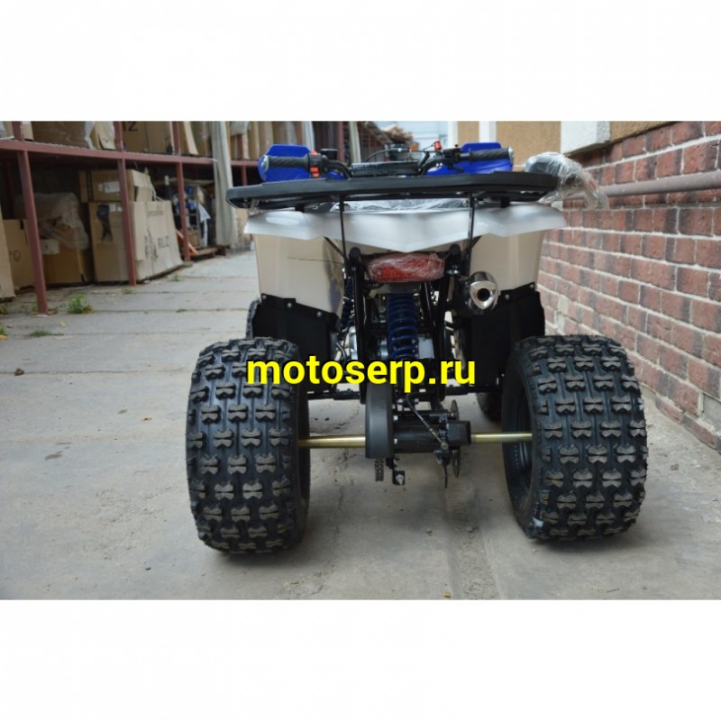 Купить  ====125cc Квадроцикл Avantis Classic 8 NEW  (Классик 8) (2023г) 125/50сс, утилит. детск 6-10 лет, 2х4, колеса 8", автомат,реверс, бараб./диск. (шт)  купить с доставкой по Москве и России, цена, технические характеристики, комплектация фото  - motoserp.ru