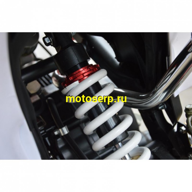 Купить  ====Мопед / питбайк Vento PitBike-50 (спортинв), 17/14, 49cc (125сс) 139FMB, кикстартер, классическая КПП 1-N-2-3-4  (шт) 01250 купить с доставкой по Москве и России, цена, технические характеристики, комплектация фото  - motoserp.ru