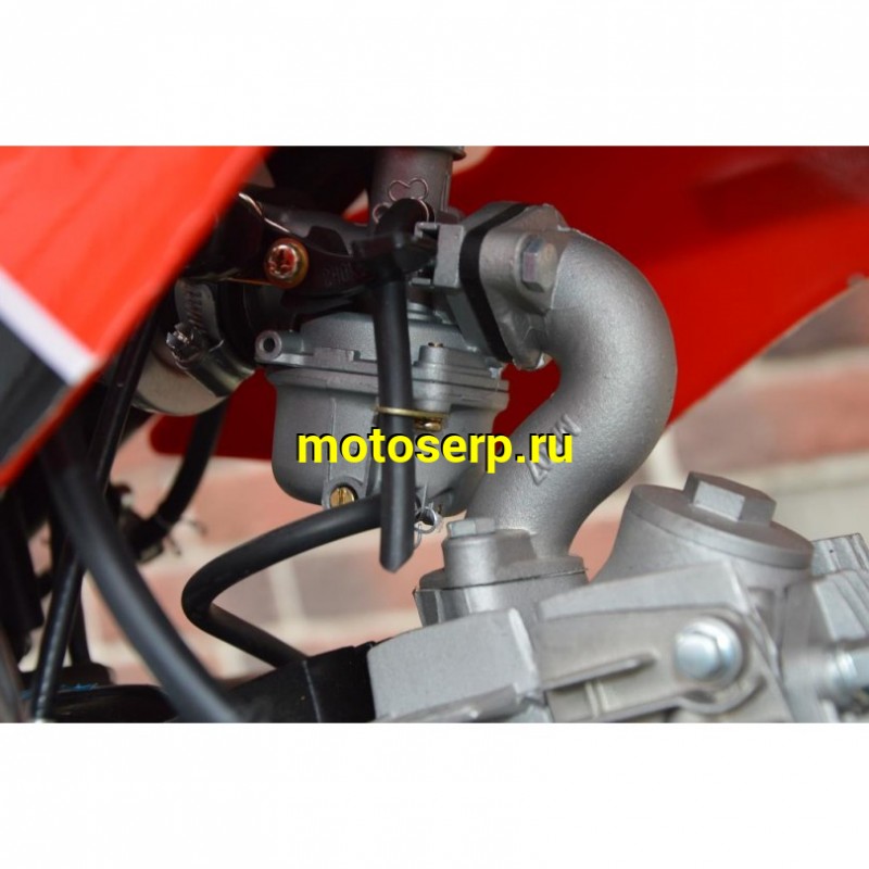 Купить  ====Мопед / питбайк Vento PitBike-50 (спортинв), 17/14, 49cc (125сс) 139FMB, кикстартер, классическая КПП 1-N-2-3-4  (шт) 01250 купить с доставкой по Москве и России, цена, технические характеристики, комплектация фото  - motoserp.ru