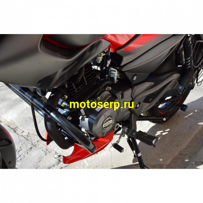 Купить  Мотоцикл BAJAJ Pulsar NS125 ( Баджаж Пульсар 125) 125сс,4-такт.,возд.охл.,карбюр.,кол.17"/17"(зал) (шт) купить с доставкой по Москве и России, цена, технические характеристики, комплектация фото  - motoserp.ru