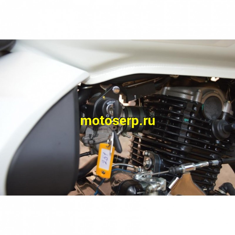 Купить  ====Мотоцикл BAJAJ Avenger Cruise White 220 DTS-i / Street 220 DTS-i с ветровым стеклом 4Т., 219.89 сс, 17"/15", возд.-масл. охлажд. (шт)  купить с доставкой по Москве и России, цена, технические характеристики, комплектация фото  - motoserp.ru