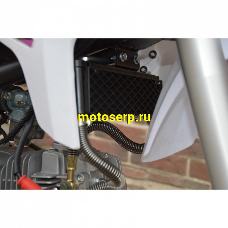 Купить  ====Питбайк WELS RT 140 (спортинв),17/14, 4Т, кикстартер, радиатор (Бер) (шт)  купить с доставкой по Москве и России, цена, технические характеристики, комплектация фото  - motoserp.ru