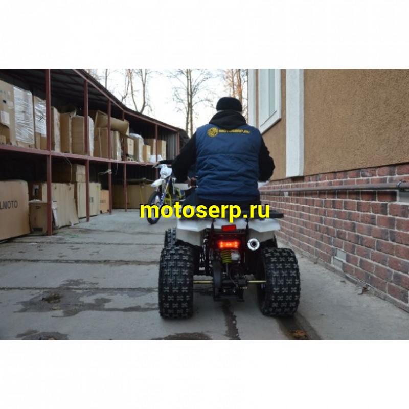Купить  ====125cc Квадроцикл Motoland WILD-125 A 125сс, утилит, 2х4, колеса 8", автомат, реверс, тормоз диск/диск. выс по седлу 40см (шт) (ML 14308 купить с доставкой по Москве и России, цена, технические характеристики, комплектация фото  - motoserp.ru