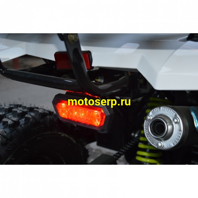 Купить  ====125cc Квадроцикл Motoland WILD-125 A 125сс, утилит, 2х4, колеса 8", автомат, реверс, тормоз диск/диск. выс по седлу 40см (шт) (ML 14308 купить с доставкой по Москве и России, цена, технические характеристики, комплектация фото  - motoserp.ru