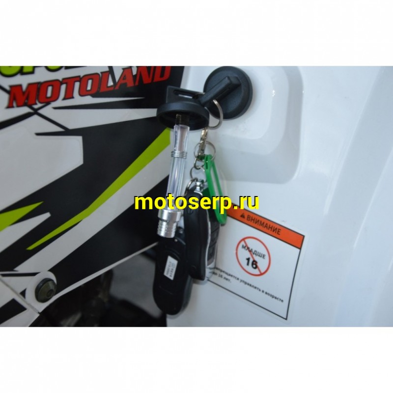 Купить  ====125cc Квадроцикл Motoland WILD-125 A 125сс, утилит, 2х4, колеса 8", автомат, реверс, тормоз диск/диск. выс по седлу 40см (шт) (ML 14308 купить с доставкой по Москве и России, цена, технические характеристики, комплектация фото  - motoserp.ru