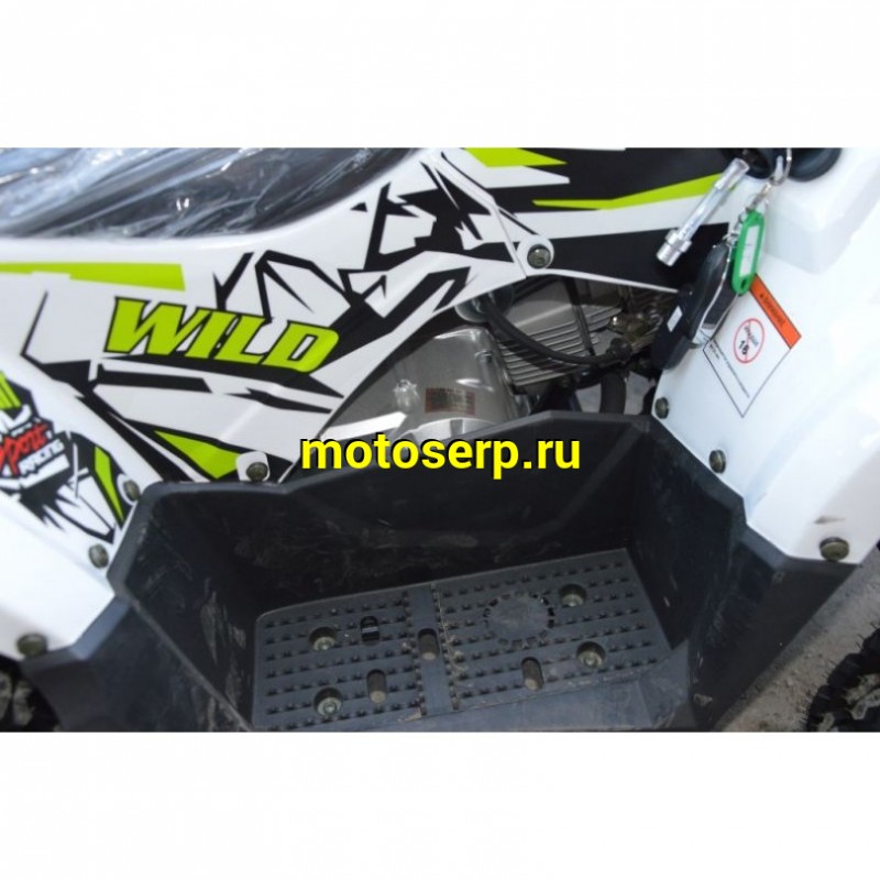 Купить  ====125cc Квадроцикл Motoland WILD-125 A 125сс, утилит, 2х4, колеса 8", автомат, реверс, тормоз диск/диск. выс по седлу 40см (шт) (ML 14308 купить с доставкой по Москве и России, цена, технические характеристики, комплектация фото  - motoserp.ru
