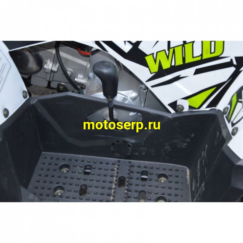 Купить  ====125cc Квадроцикл Motoland WILD-125 A 125сс, утилит, 2х4, колеса 8", автомат, реверс, тормоз диск/диск. выс по седлу 40см (шт) (ML 14308 купить с доставкой по Москве и России, цена, технические характеристики, комплектация фото  - motoserp.ru