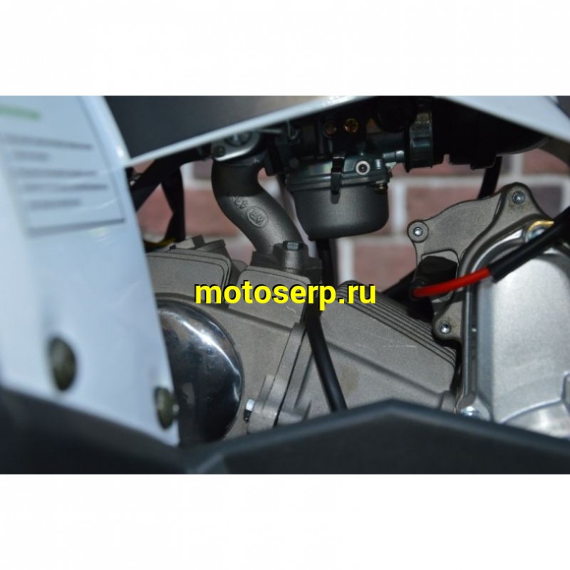 Купить  ====125cc Квадроцикл Motoland WILD-125 A 125сс, утилит, 2х4, колеса 8", автомат, реверс, тормоз диск/диск. выс по седлу 40см (шт) (ML 14308 купить с доставкой по Москве и России, цена, технические характеристики, комплектация фото  - motoserp.ru