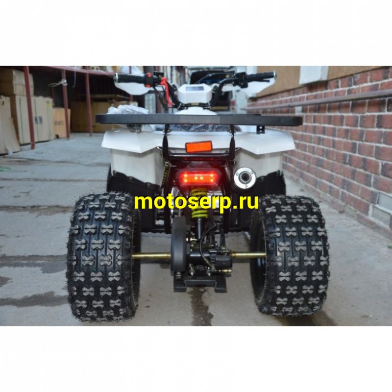 Купить  ====125cc Квадроцикл Motoland WILD-125 A 125сс, утилит, 2х4, колеса 8", автомат, реверс, тормоз диск/диск. выс по седлу 40см (шт) (ML 14308 купить с доставкой по Москве и России, цена, технические характеристики, комплектация фото  - motoserp.ru