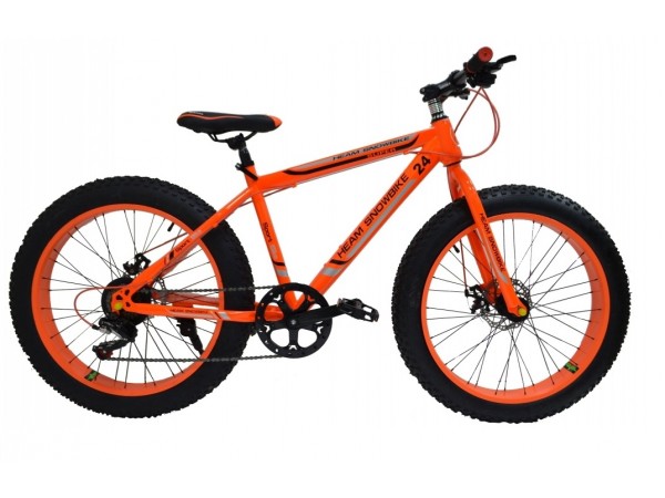 Купить  ====FAT SNOWBIKE (Сноубайк) 20"; 7ск; рама-сталь; тормоз-Disk; вилка-стальная жесткая (шт)  купить с доставкой по Москве и России, цена, технические характеристики, комплектация фото  - motoserp.ru