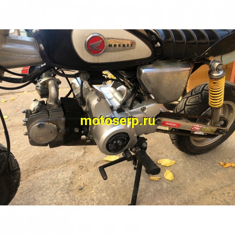Купить  ====Мопед Honda Monkey 125 4МКПП 1999г.в. ПТС Из Японии,без пробега по РФ купить с доставкой по Москве и России, цена, технические характеристики, комплектация фото  - motoserp.ru