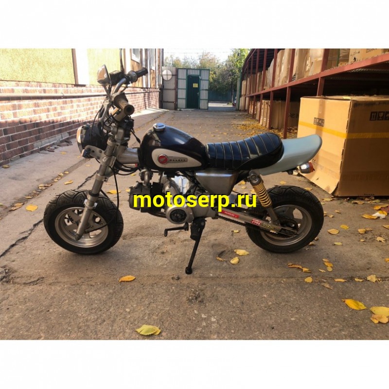 Купить  ====Мопед Honda Monkey 125 4МКПП 1999г.в. ПТС Из Японии,без пробега по РФ купить с доставкой по Москве и России, цена, технические характеристики, комплектация фото  - motoserp.ru