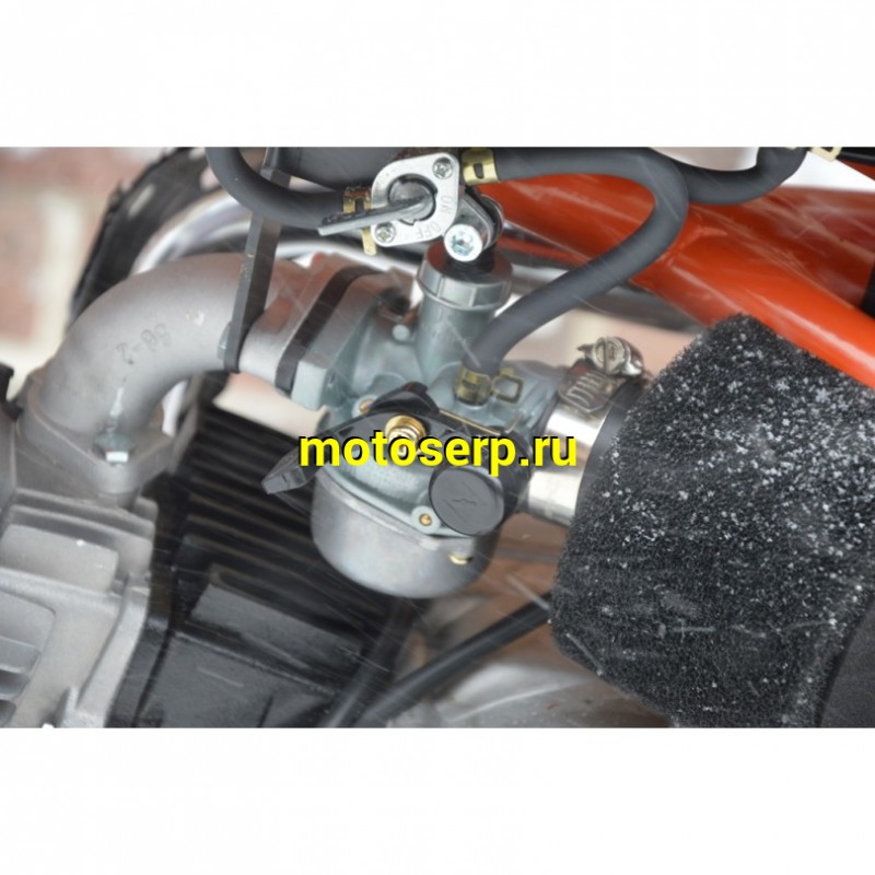 Купить  Питбайк Regulmoto PILOT 110EA (спортинв), 12/10, 110сс, (шт) (0 купить с доставкой по Москве и России, цена, технические характеристики, комплектация фото  - motoserp.ru