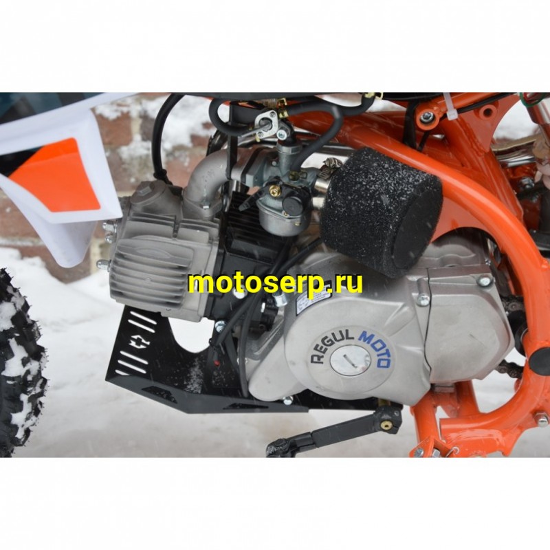 Купить  Питбайк Regulmoto PILOT 110EA (спортинв), 12/10, 110сс, (шт) (0 купить с доставкой по Москве и России, цена, технические характеристики, комплектация фото  - motoserp.ru