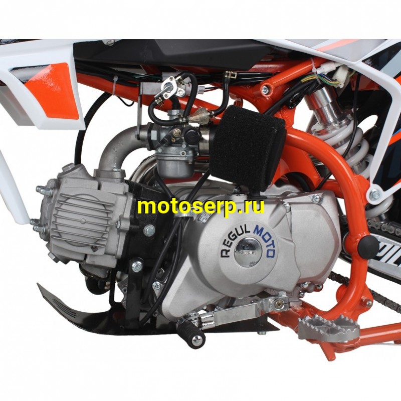 Купить  Питбайк Regulmoto PILOT 110EA (спортинв), 12/10, 110сс, (шт) (0 купить с доставкой по Москве и России, цена, технические характеристики, комплектация фото  - motoserp.ru