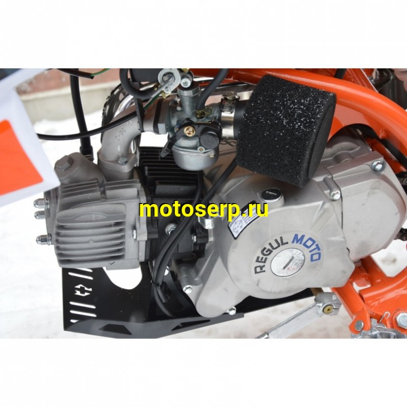 Купить  ====Питбайк Regulmoto PILOT 110EA (спортинв), 14/12, 110сс, (2021) (шт) купить с доставкой по Москве и России, цена, технические характеристики, комплектация фото  - motoserp.ru