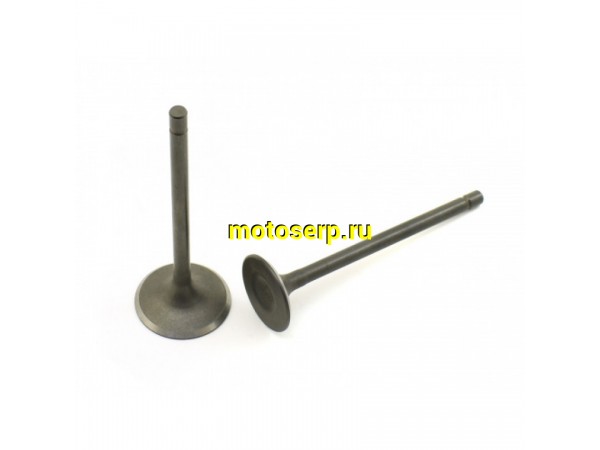 Купить  Клапан 172FMM (впуск/выпуск) (D-31,5mm, d-27mm, L-88.5mm, l-85.5mm, T-5.5mm, t-5.5mm) (комп) (Regul 100105283 (Regul 100105271 (TATA 800003006 купить с доставкой по Москве и России, цена, технические характеристики, комплектация фото  - motoserp.ru