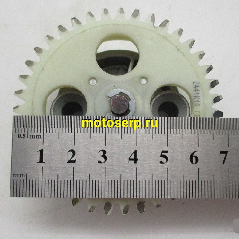 Купить  Насос масляный в сб 174MN (CR K7) (300CBS) др. 39зуб. (шт) (ZUUM 100100079 купить с доставкой по Москве и России, цена, технические характеристики, комплектация фото  - motoserp.ru