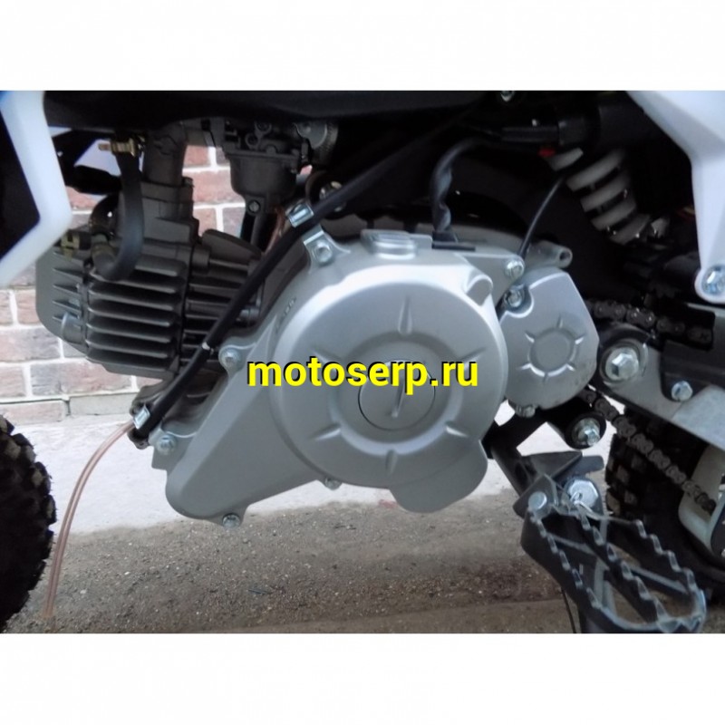 Купить  ====Питбайк PWR Racing FRZ 60 (спортинв) 10/10 автомат, электростарт. (Бер) (шт) (ML 15156 купить с доставкой по Москве и России, цена, технические характеристики, комплектация фото  - motoserp.ru