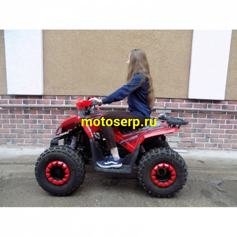 Купить  ====c Квадроцикл COYOTE 150сс, утилит,  (шт) (ZUUMAV купить с доставкой по Москве и России, цена, технические характеристики, комплектация фото  - motoserp.ru