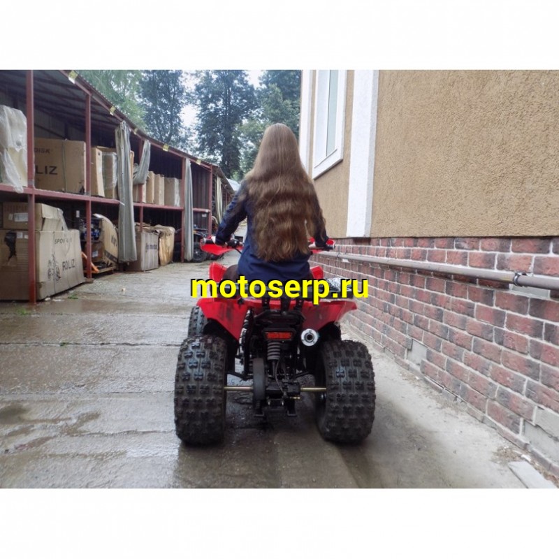 Купить  ====c Квадроцикл COYOTE 150сс, утилит,  (шт) (ZUUMAV купить с доставкой по Москве и России, цена, технические характеристики, комплектация фото  - motoserp.ru