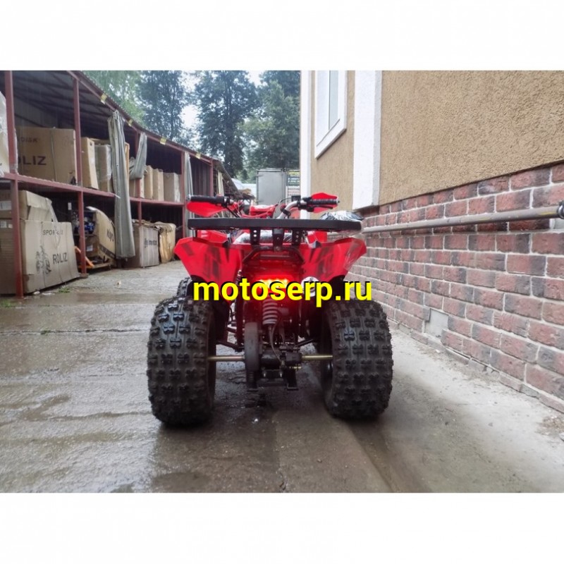 Купить  ====c Квадроцикл COYOTE 150сс, утилит,  (шт) (ZUUMAV купить с доставкой по Москве и России, цена, технические характеристики, комплектация фото  - motoserp.ru