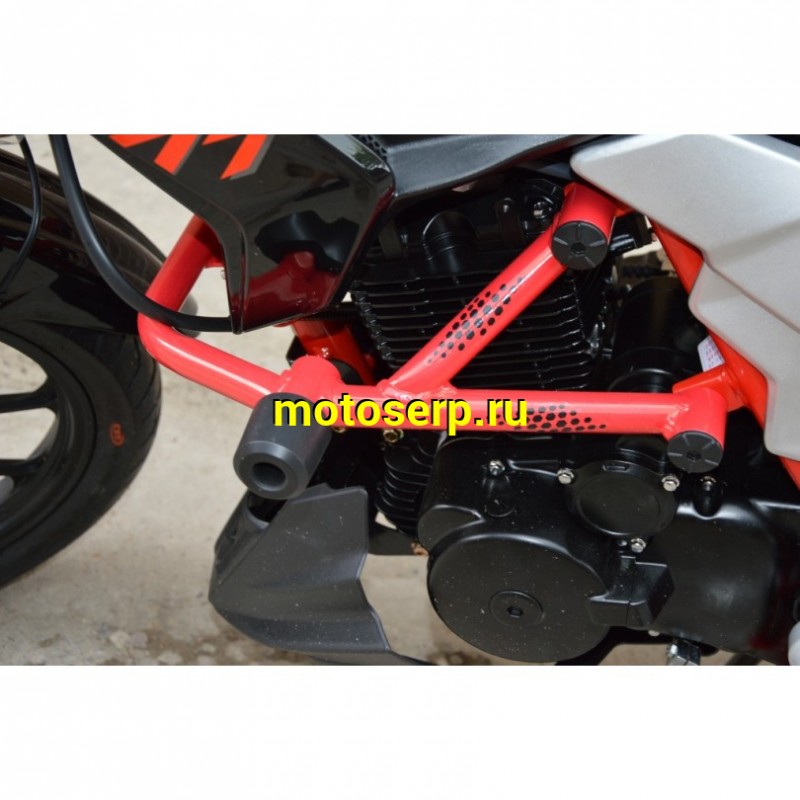 Купить  Мотоцикл Regulmoto Raptor new (Регулмото Раптор нью) 250сс,4Т ,возд.охл.,торм. диск/диск,,кол. 17"/17" (шт) (Regul купить с доставкой по Москве и России, цена, технические характеристики, комплектация фото  - motoserp.ru