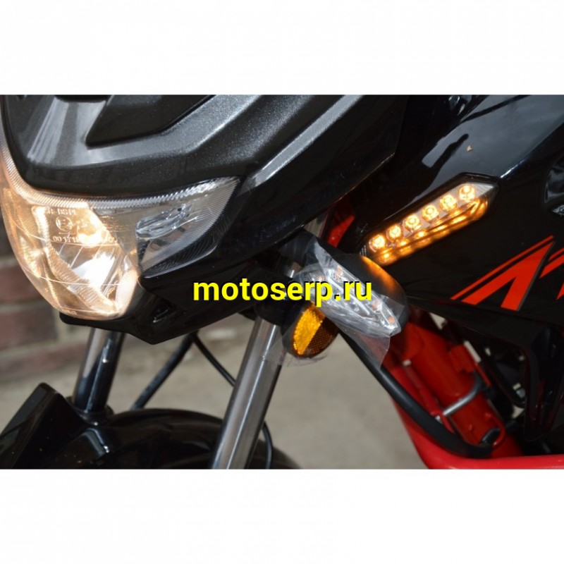 Купить  Мотоцикл Regulmoto Raptor new (Регулмото Раптор нью) 250сс,4Т ,возд.охл.,торм. диск/диск,,кол. 17"/17" (шт) (Regul купить с доставкой по Москве и России, цена, технические характеристики, комплектация фото  - motoserp.ru