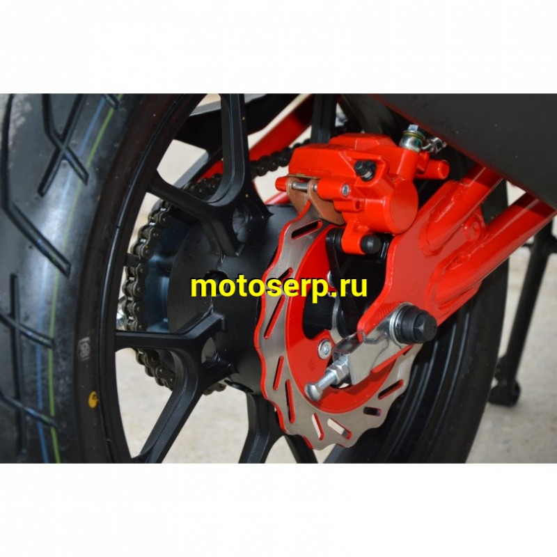 Купить  Мотоцикл Regulmoto Raptor new (Регулмото Раптор нью) 250сс,4Т ,возд.охл.,торм. диск/диск,,кол. 17"/17" (шт) (Regul купить с доставкой по Москве и России, цена, технические характеристики, комплектация фото  - motoserp.ru