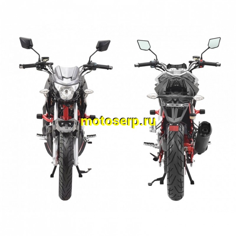 Купить  Мотоцикл Regulmoto Raptor new (Регулмото Раптор нью) 250сс,4Т ,возд.охл.,торм. диск/диск,,кол. 17"/17" (шт) (Regul купить с доставкой по Москве и России, цена, технические характеристики, комплектация фото  - motoserp.ru