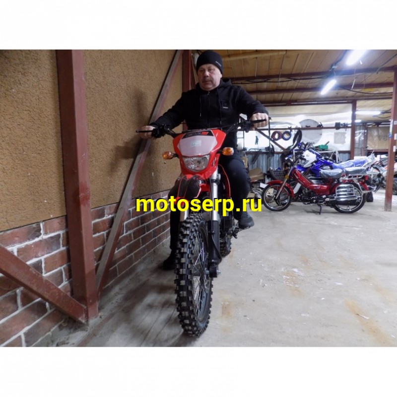 Купить  Мопед / питбайк Vento PitBike-50E LUX, 17/14, 49cc, 139FMB, фара/повор/стоп/зеркала, кик+электр., КПП 1-N-2-3-4  (шт) 01250 купить с доставкой по Москве и России, цена, технические характеристики, комплектация фото  - motoserp.ru