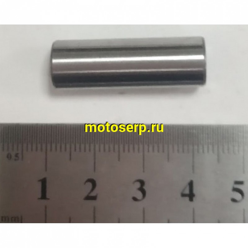 Купить  Поршень Honda DIO AF55/56/57/58 D38,75 (3р); p-10  4T  "SEE" (TW) (комп) (К-дар 2100624 купить с доставкой по Москве и России, цена, технические характеристики, комплектация фото  - motoserp.ru