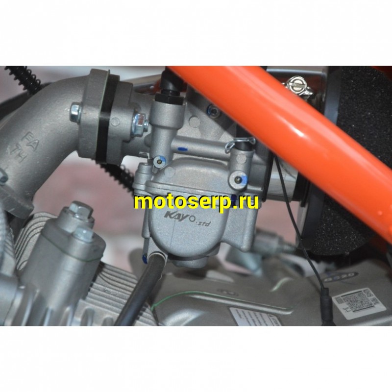 Купить  Питбайк KAYO TT160 17/14 KRZ (механ. сцепл., кикстартер) (шт) (SM купить с доставкой по Москве и России, цена, технические характеристики, комплектация фото  - motoserp.ru