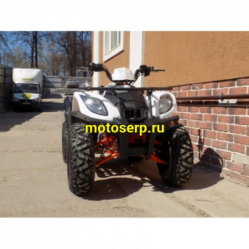 Купить  200cc Квадроцикл KAYO AU200 (BIG BULL) (белый пластик,комплект запчастей) 2023 г. (шт) (SM купить с доставкой по Москве и России, цена, технические характеристики, комплектация фото  - motoserp.ru