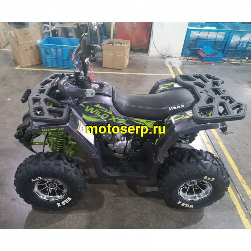 Купить  ====125cc Квадроцикл Motoland WILD-125 X PRO 125сс, БАЛАНСИР! утилит, 2х4, колеса 8", литые диски, фара балка, диск/диск (шт) (ML 18264 купить с доставкой по Москве и России, цена, технические характеристики, комплектация фото  - motoserp.ru