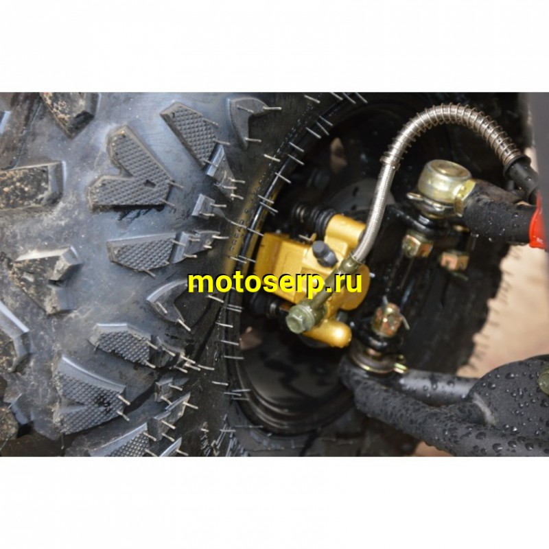 Купить  125cc Квадроцикл GRIZZLY 125 (Гризли) 125сс, утилит, 2х4, колеса 8", автомат, реверс, диск/диск, эл. панель (шт) (Li-Ya купить с доставкой по Москве и России, цена, технические характеристики, комплектация фото  - motoserp.ru