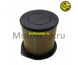Фильтр воздушный (элемент) Alien Monster, T-Leopard 250/300, Raptor 200/250 (шт) (Regul 1227100-108000