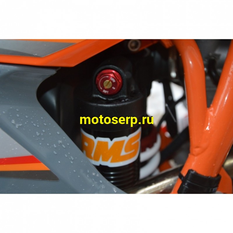 Купить  Мотоцикл Кросс/Эндуро Regulmoto Holeshot (Холшот) 172FMM (ЭПТС) 300cc балансир, подвеска сж/отб KKE 2катр. 47мм ал. подрам. (ЭПТС) (зал) (шт) купить с доставкой по Москве и России, цена, технические характеристики, комплектация фото  - motoserp.ru