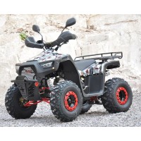 motoserp.ru - 125cc Квадроцикл MILLENNIUM 125R (Милленниум) 125сс, утилит, 2х4, колеса 8", автомат, реверс,  (шт) (ТехМаркет (ФОТО - МотоВелоЦентр г.Серпухов