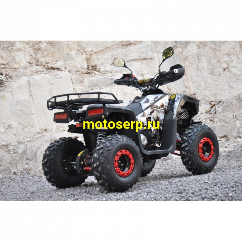 Купить  125cc Квадроцикл MILLENNIUM 125R (Милленниум) 125сс, утилит, 2х4, колеса 8", автомат, реверс,  (шт) (ТехМаркет (ФОТО купить с доставкой по Москве и России, цена, технические характеристики, комплектация фото  - motoserp.ru